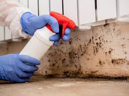 Best Forensic Mold Investigation  in Marana, AZ